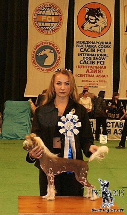 25,05,2009 - 6 ������ (���� �) PUPPIES CHINESE CRESTED �����