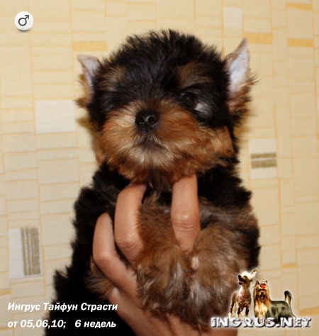 05,06,2010 (���� �) - 3 ����� ������������ ������� �����