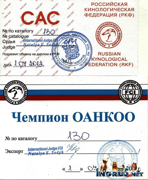 26,03,2010 (���� �) ����� ������������ ������� �����