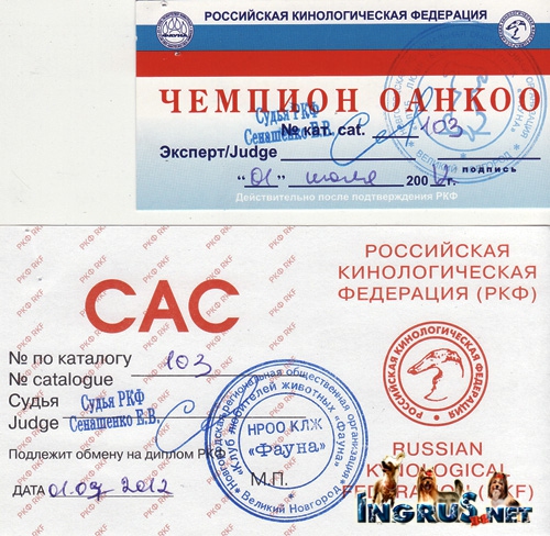 26,03,2010 (���� �) ����� ������������ ������� �����