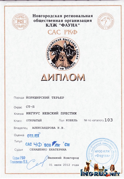 26,03,2010 (���� �) ����� ������������ ������� �����