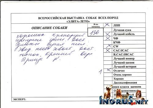26,03,2010 (���� �) ����� ������������ ������� �����