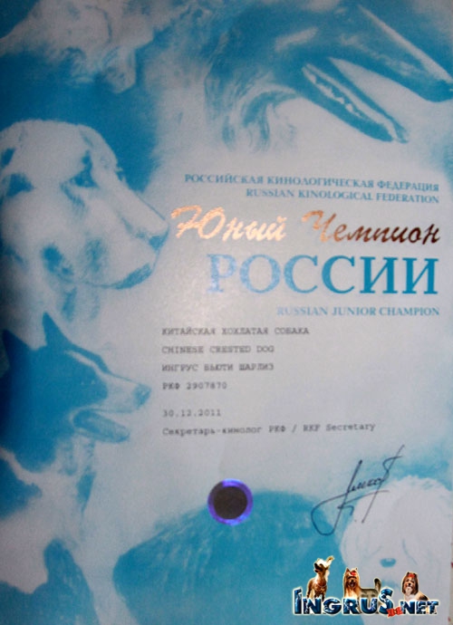 22,08,2010  5 ������ ������ (���� �) ��������� �������� ���������!