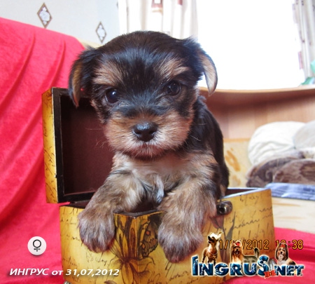 NEW => 31,07,2012 (���� *) ����� ����� - �������