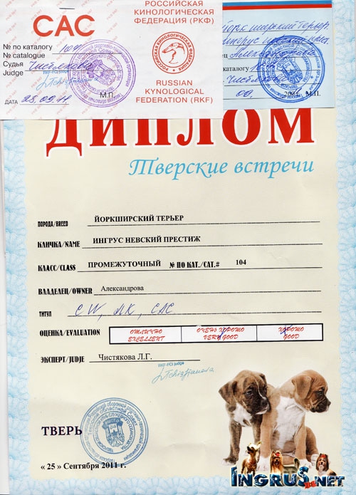 26,03,2010 (���� �) ����� ������������ ������� �����