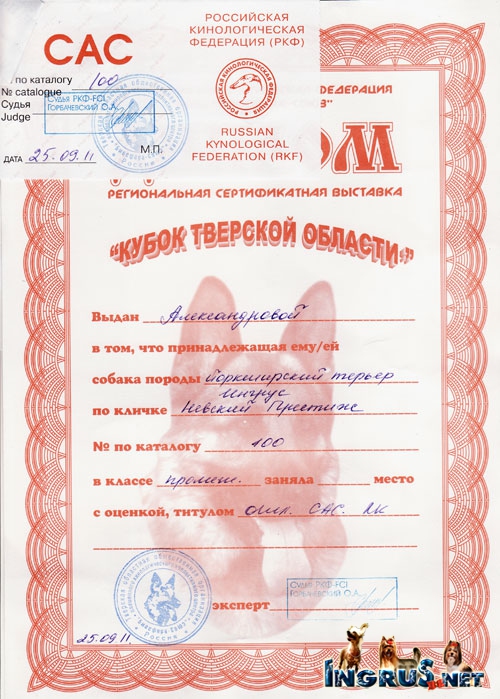 26,03,2010 (���� �) ����� ������������ ������� �����