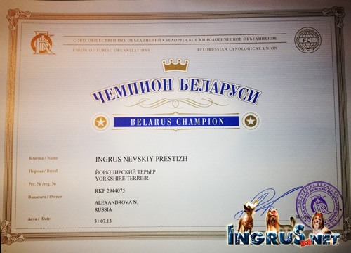NEW - 19,08,2013 - 5 ������ (���� *) ����������� ������ �������