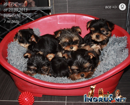 NEW - ��������� ����� ������ �� 23,09,2013 - (���� �)