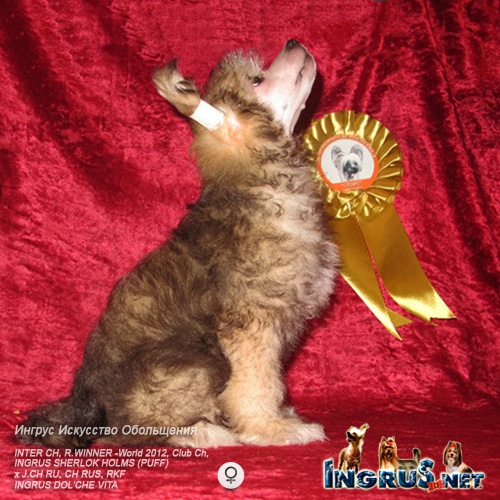 NEW - ����� ��������� �������� - ������ �� 16,05,13 