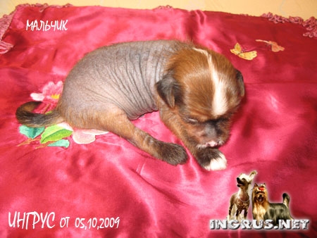 05,10,2009 - 4 ����� (���� �) ����� ��������� �������� �����