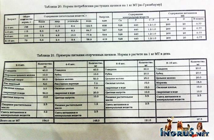 ������ � ����� ������  - ���, ��������� ������� -