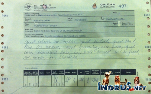 NEW - ����������� ������ FACE TO FACE INGRUS OF BOXXEMIA GOLD
