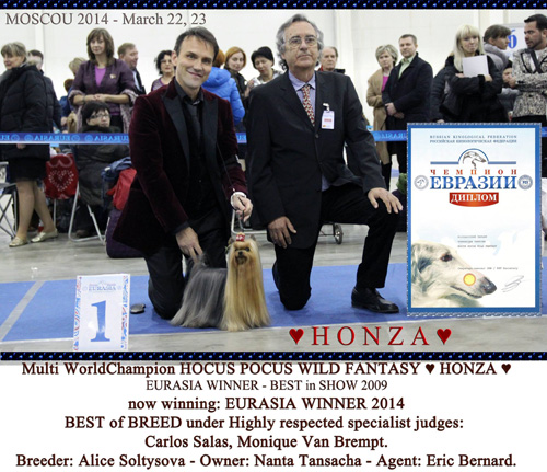 NEW - ����������� ������ FACE TO FACE INGRUS OF BOXXEMIA GOLD