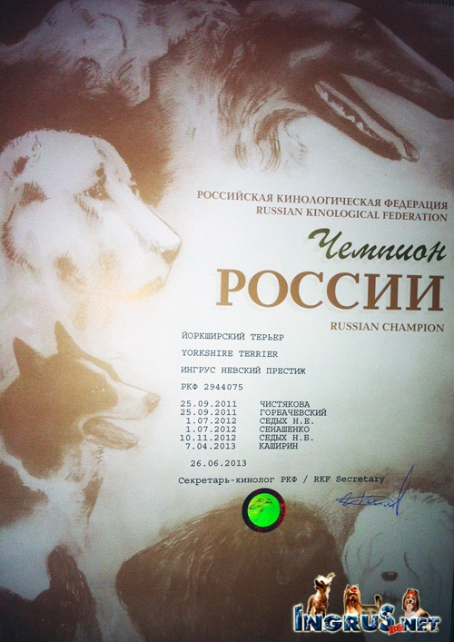 26,03,2010 (���� �) ����� ������������ ������� �����