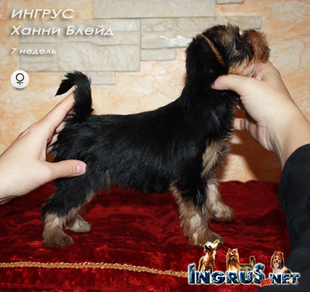 19,08,2013 - 5 ������ (���� �) ����������� ������ - ����� 