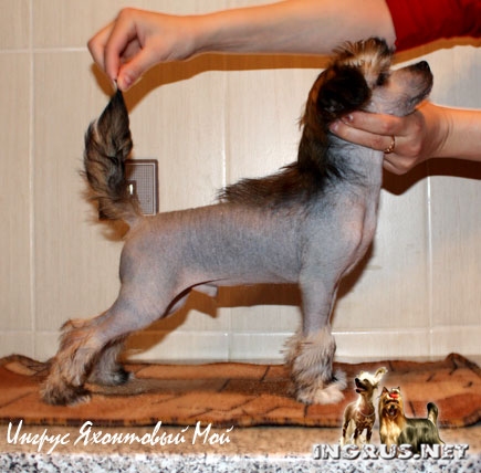 01,04,2010-5 ������ (���� �) ����� ��������� �������� - �����