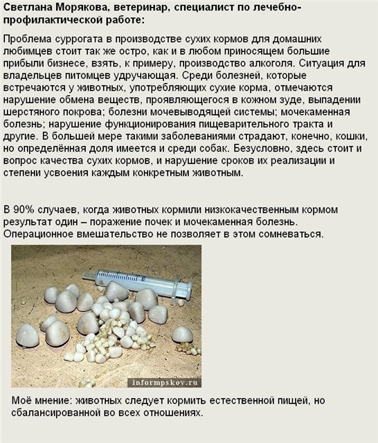 ������ � ����� ������  - ���, ��������� ������� -
