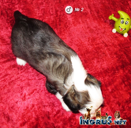 NEW - ����� ��������� �������� - ������ �� 16,05,13 