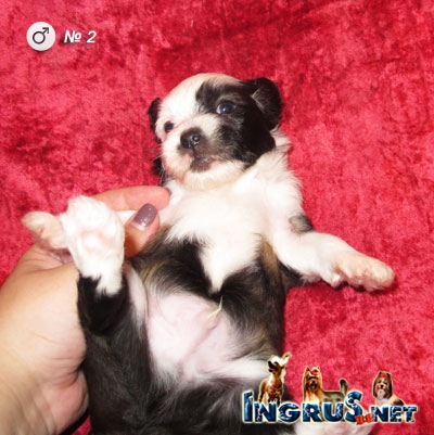 NEW - ����� ��������� �������� - ������ �� 16,05,13 