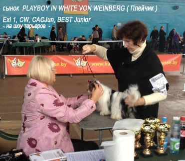 ����� ������ ��� ����� - ����� MULTI �H. PLAYBOY IN WHITE VON WEINBERG