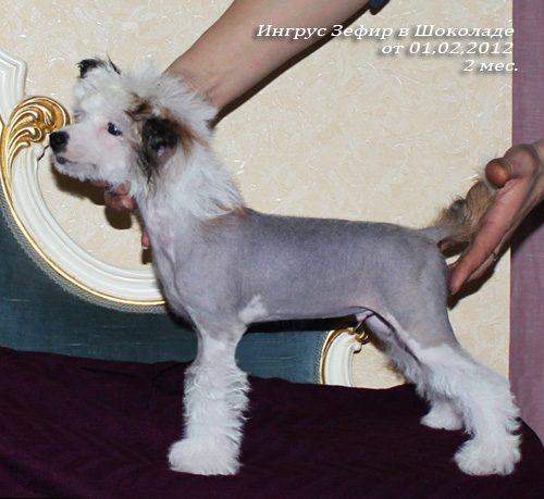 ������� �� 01.02.2012 - 2 ����� (���� �) ��������� �������� ������