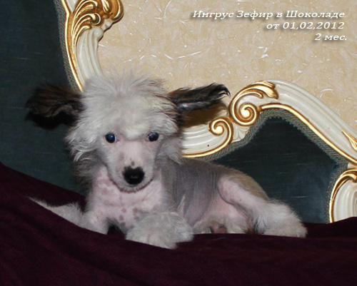 ������� �� 01.02.2012 - 2 ����� (���� �) ��������� �������� ������