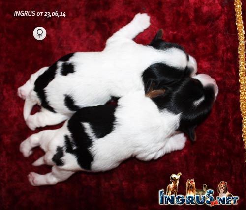 NEW - ���������, ����� ������ �� 23,0614!
