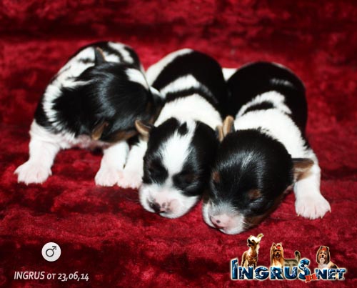 NEW - ���������, ����� ������ �� 23,0614!